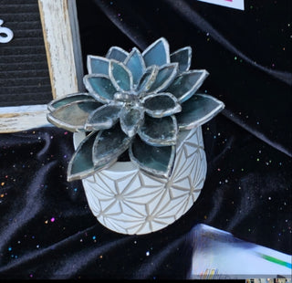 Stained glass Succulent