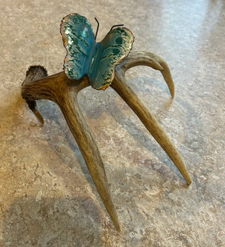 Antler with Butterfly