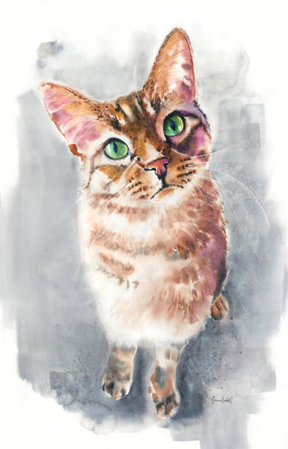 Tabby Cat Original Watercolor Painting