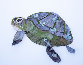 Turtle 2 Nature Art Print