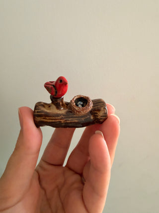 Cardinal with nest