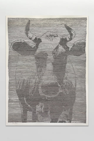 Cow With Single Line 18x24 Print