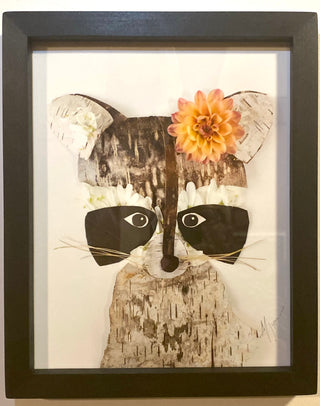 Framed Raccoon Nature Art