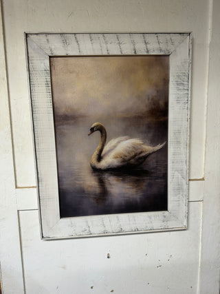 XXL Swan print