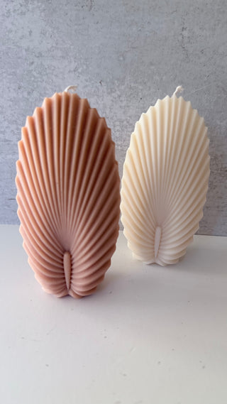 Scented Sea Shell Candles
