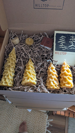 Christmas Tree Gift Box II