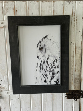 Framed White Owl -Med