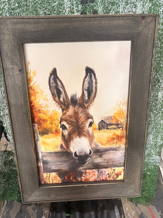 Donkey print MD