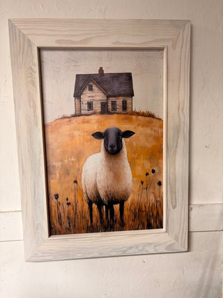 Black Sheep/House (MD)