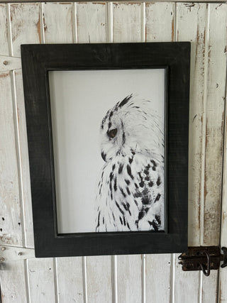 Owl (MD)