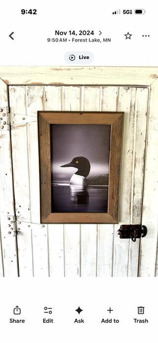 Loon Print (SM)