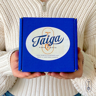 Container Garden Seed Collection