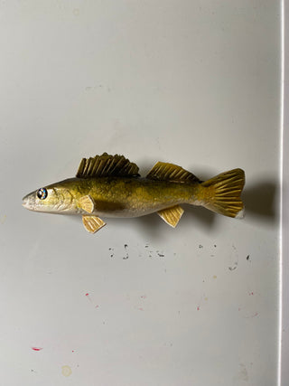 Walleye Magnet