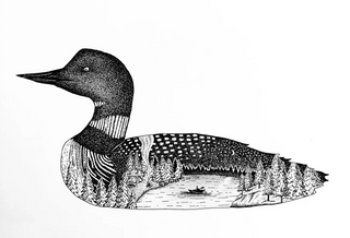 8x10 Loon Print