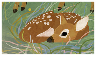 Mama Deer Stays Close By