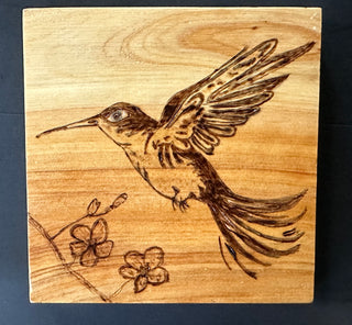 Hummingbird coaster