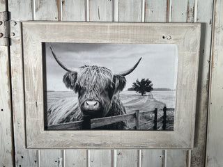 Framed Steer-Lg