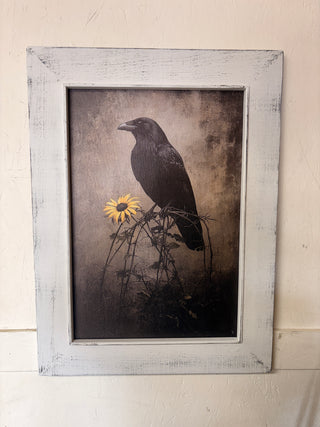 Crow/Daisy XL
