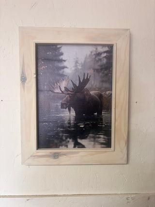 Moose Print (MD)