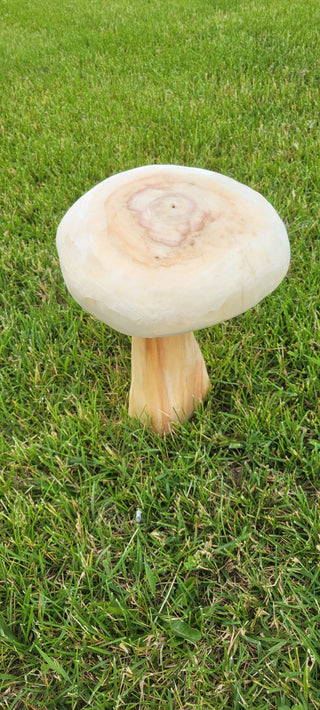 Mushroom 011