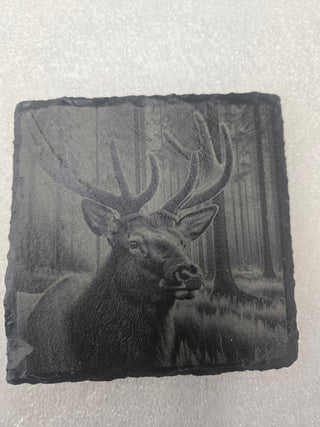 Elk slate coaster