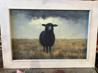 XXL Black Sheep print/ frame