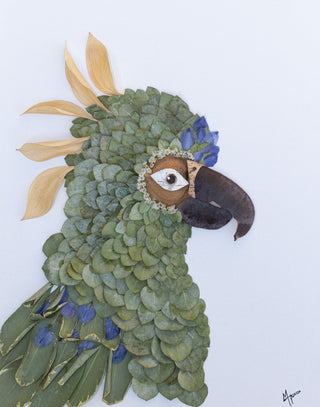 Green Parrot Nature Art Print