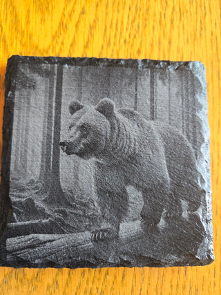 Bear Slate Coaster