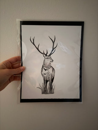 8 x 10 Elk