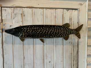 Painted Northern Pike