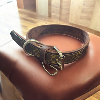 L, LV Dog Collar