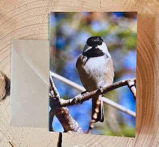 Chickadee Bird Photo Card