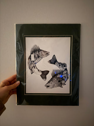 11 x 14 Walleye in Green