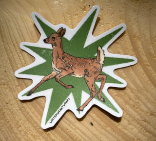 Deer Fawn Sticker