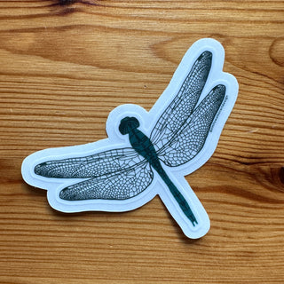 Dragonfly Sticker