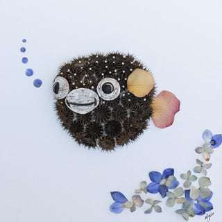 Puffer Fish Nature Art Print