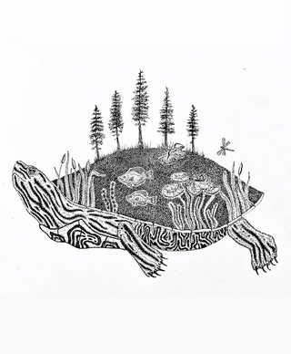 8x10 Painted Turtle Print