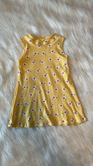 A Line Swing Dress