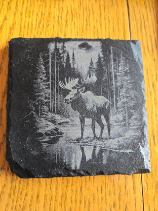 Moose Slate Coaster