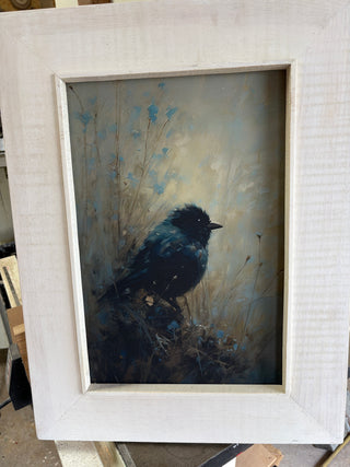 Blackbird (MD)