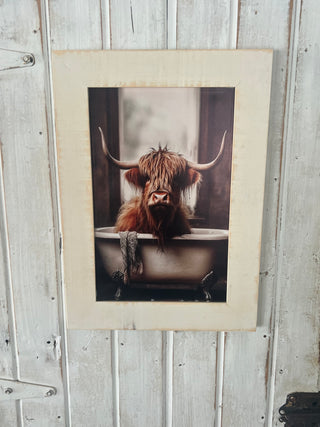 Framed Steer-Med