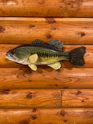 Largemouth Bass - 15 inch