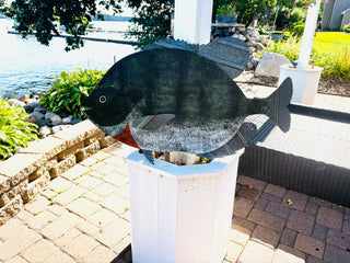 Sunfish colors (MD)
