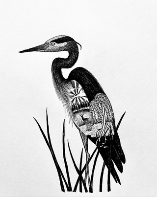 8x10 Blue Heron Print