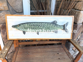 Fish northern pike on back color