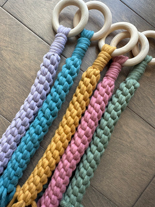 Plant Hanger - Roots - Assorted Colors