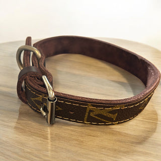 M, LV Dog Collar