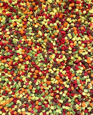 Fall Sensory Kit