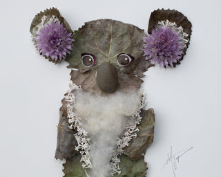 Nature Art Print: Koala